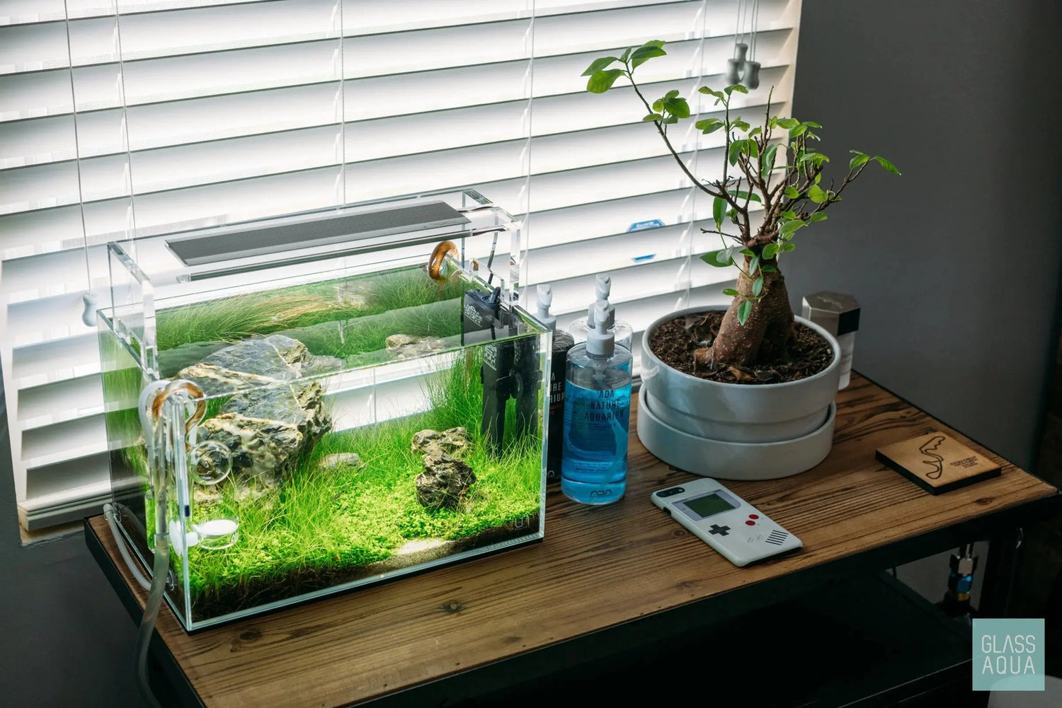 Mini Aquarium: Eine kleine Unterwasserwelt für Zuhause AquaTimo