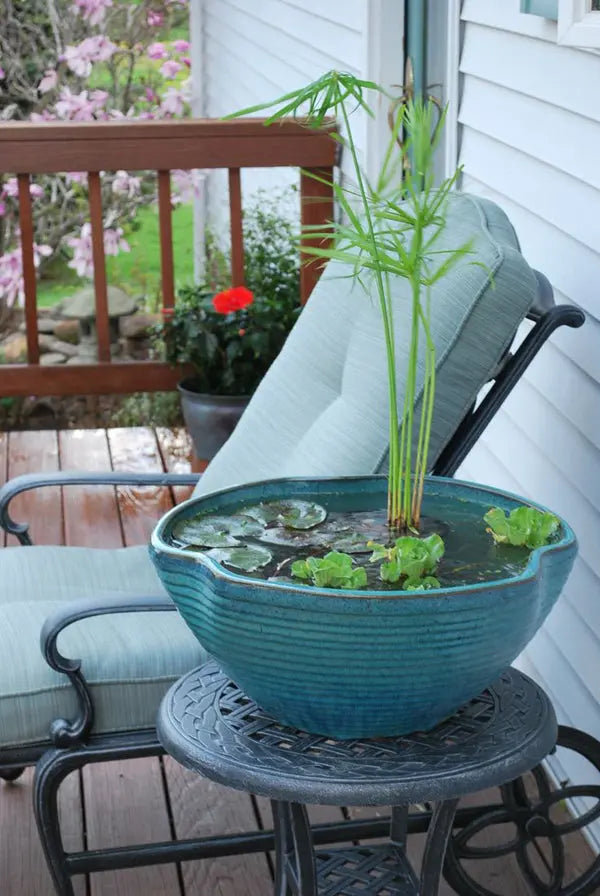 Miniteich im Garten: So legst du eine kleine Oase an AquaTimo