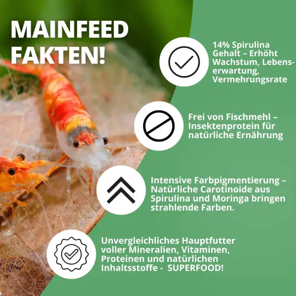 NatureHolic Mainfeed Softpads: Das Premium-Hauptfutter für vitale Zwerggarnelen 🦐 AquaTimo