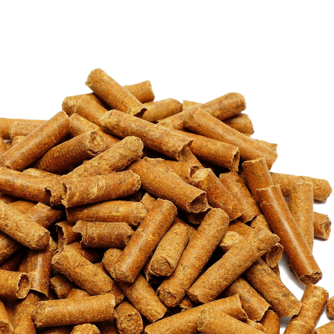 Algova Gammarus Pellets: Die clevere Futter-Innovation für Wasserschildkröten & Fische! 🐢🐠