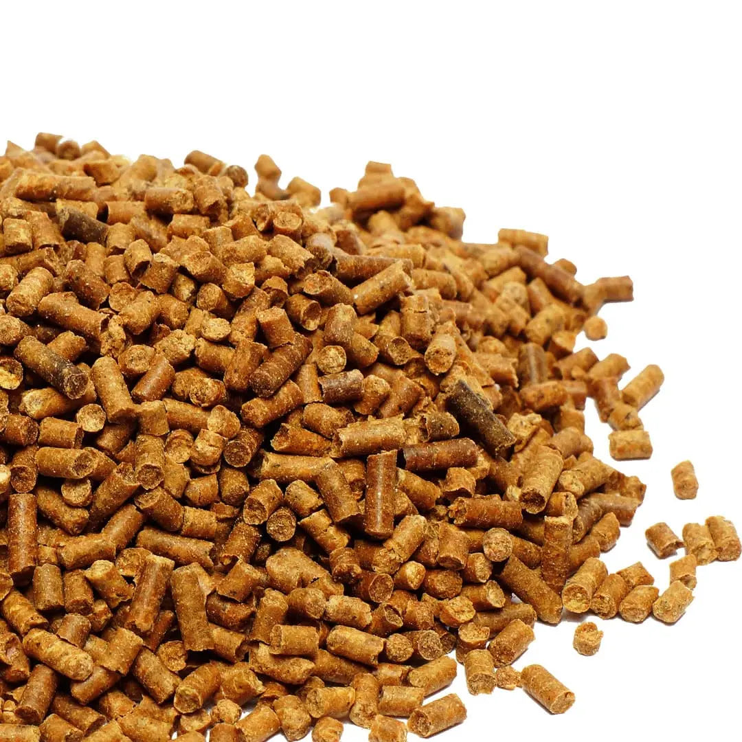 Algova Gammarus Pellets 2,5 mm: Das Protein-Sinkfutter für Dein Aquarium & Deinen Teich! 🐠🐟 algova