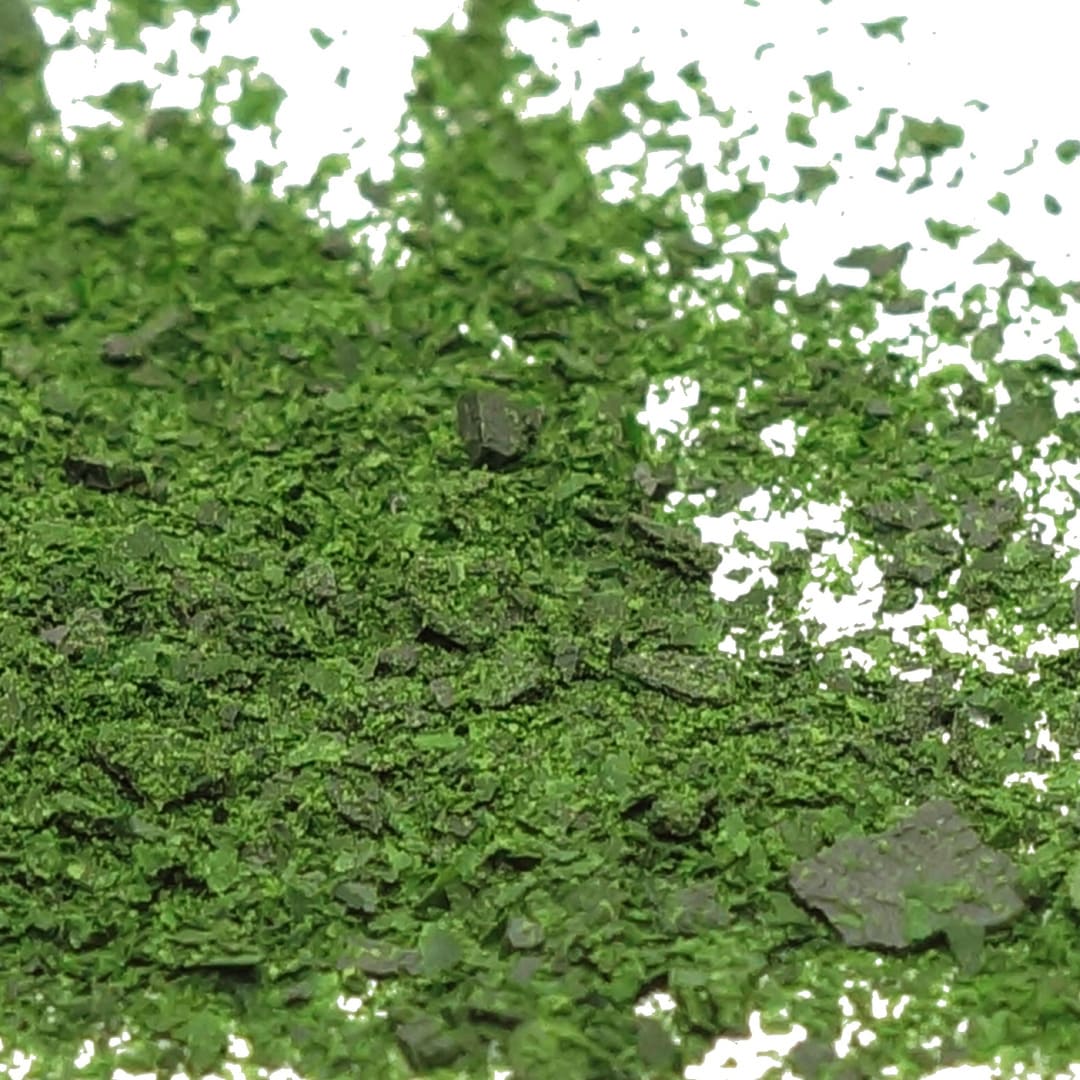 Algova Nannochloropsis Pulver – Dein Premium Qualität Futter für gesunde Grünwasserkulturen und Zucht 🐠
