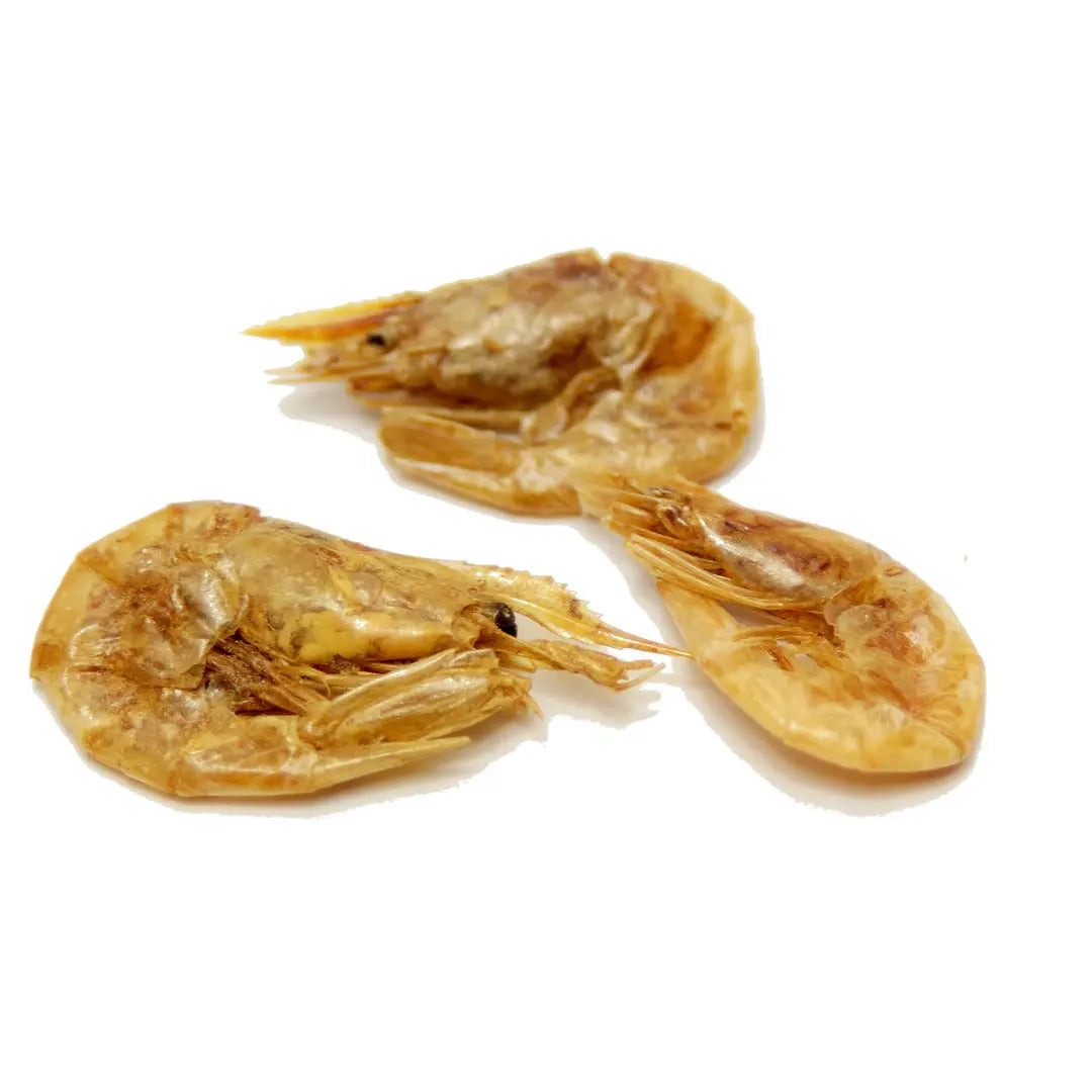 Algova Premium Süßwasser Shrimps (2-4cm): Protein-Superfood für Fische & Koi 🍤 algova