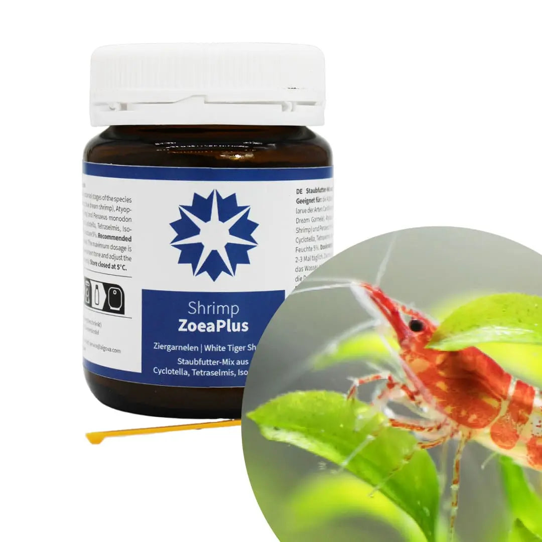 Algova Shrimp ZoeaPlus: Das Staubfutter für eine perfekte Baby Garnelen Zucht im Aquarium! 🦐👶 algova