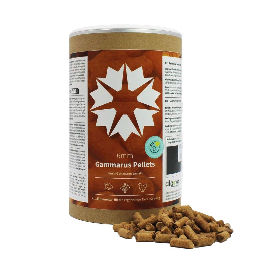 Algova Gammarus Pellets: Die clevere Futter-Innovation für Wasserschildkröten & Fische! 🐢🐠