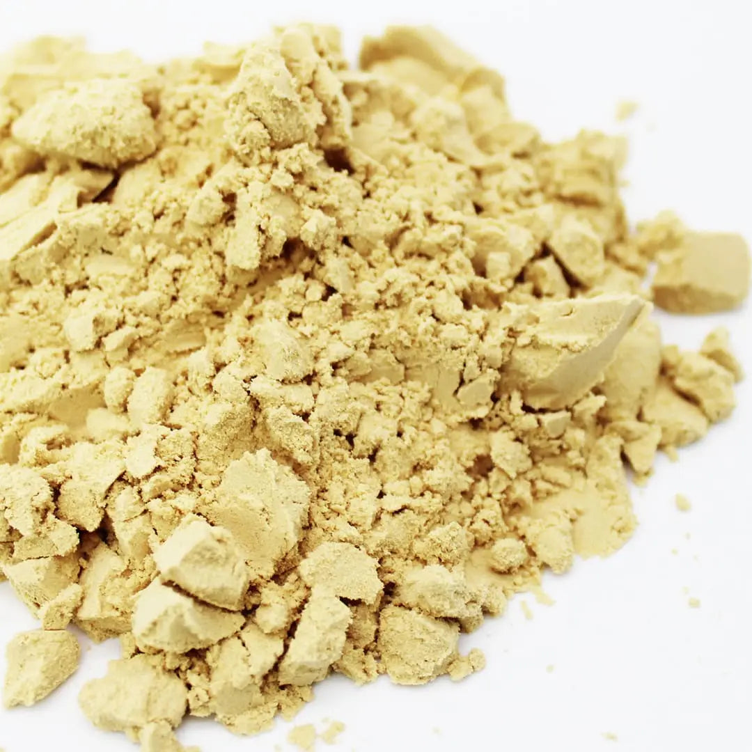 Algova algoBARF: Omega-3-Power aus Pflanzen – Die nachhaltige Alternative zu Fischöl! 💚 algova