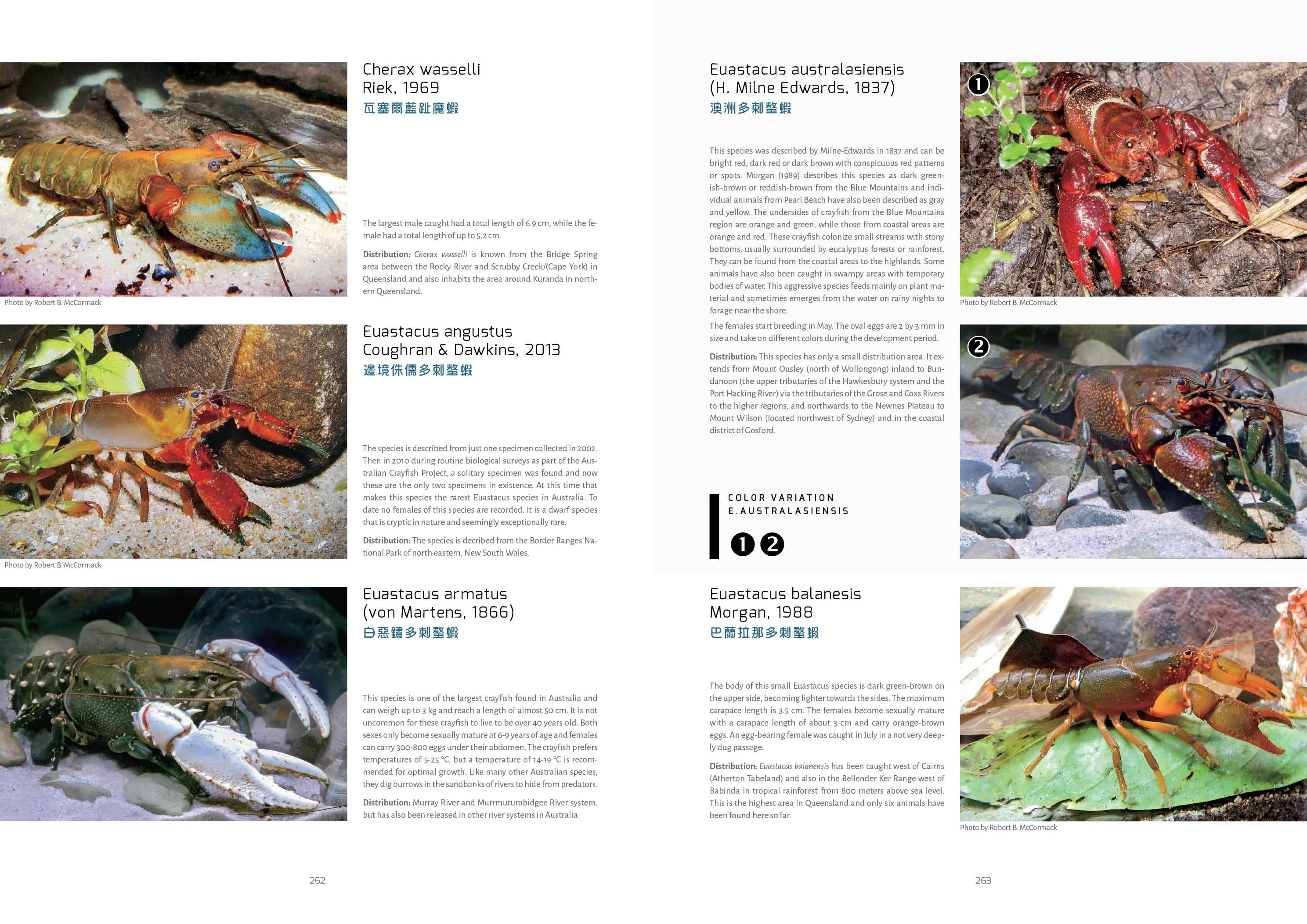 Buch Flusskrebse Dähne Aquaristik