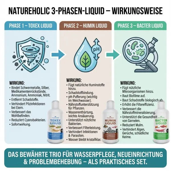 NatureHolic - 3 Phasen Liquid - Pflegeset 3 x 125ml AquaTimo
