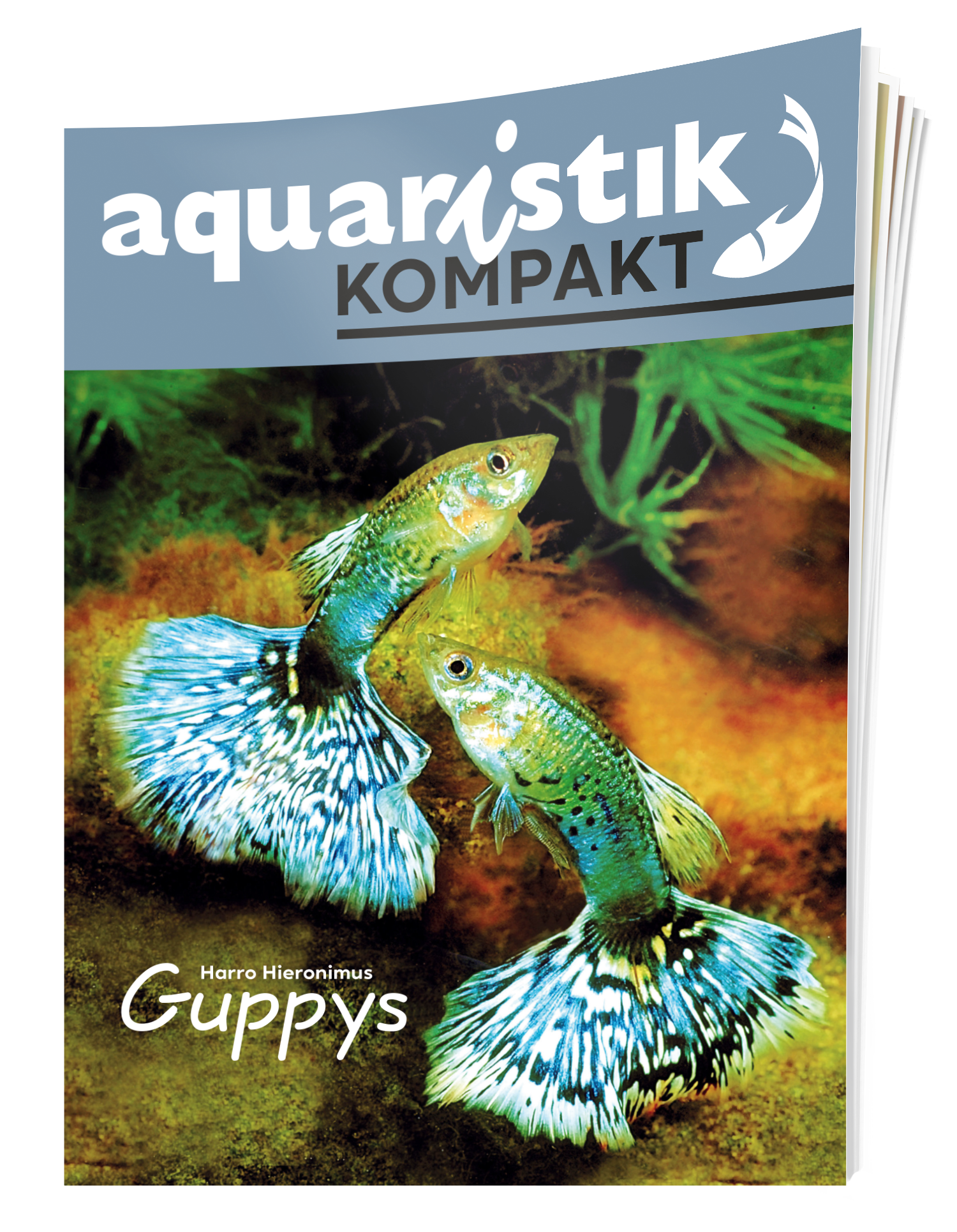 Aquaristik kompakt – Guppy-Buch