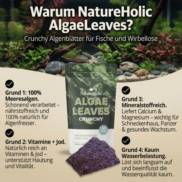 NatureHolic AlgaeLeaves! 🤩