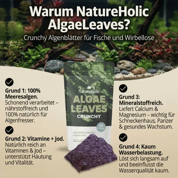 NatureHolic AlgaeLeaves! 🤩 AquaTimo