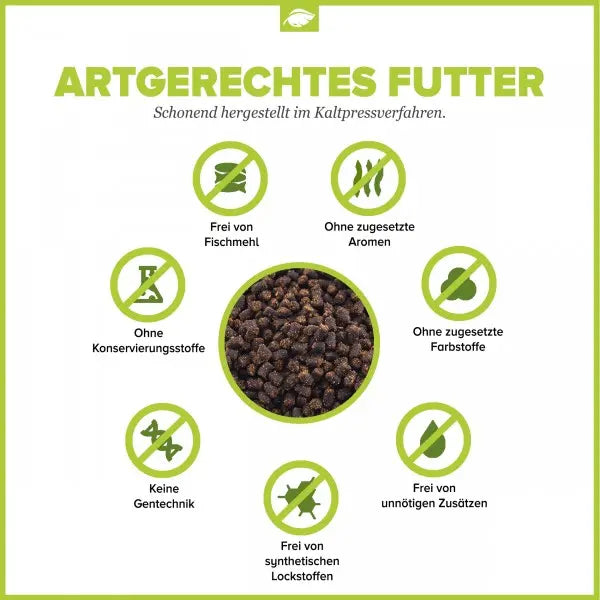 NatureHolic Cheraxfeed Junior: Spezial-Aufzuchtfutter für juvenile Cherax AquaTimo