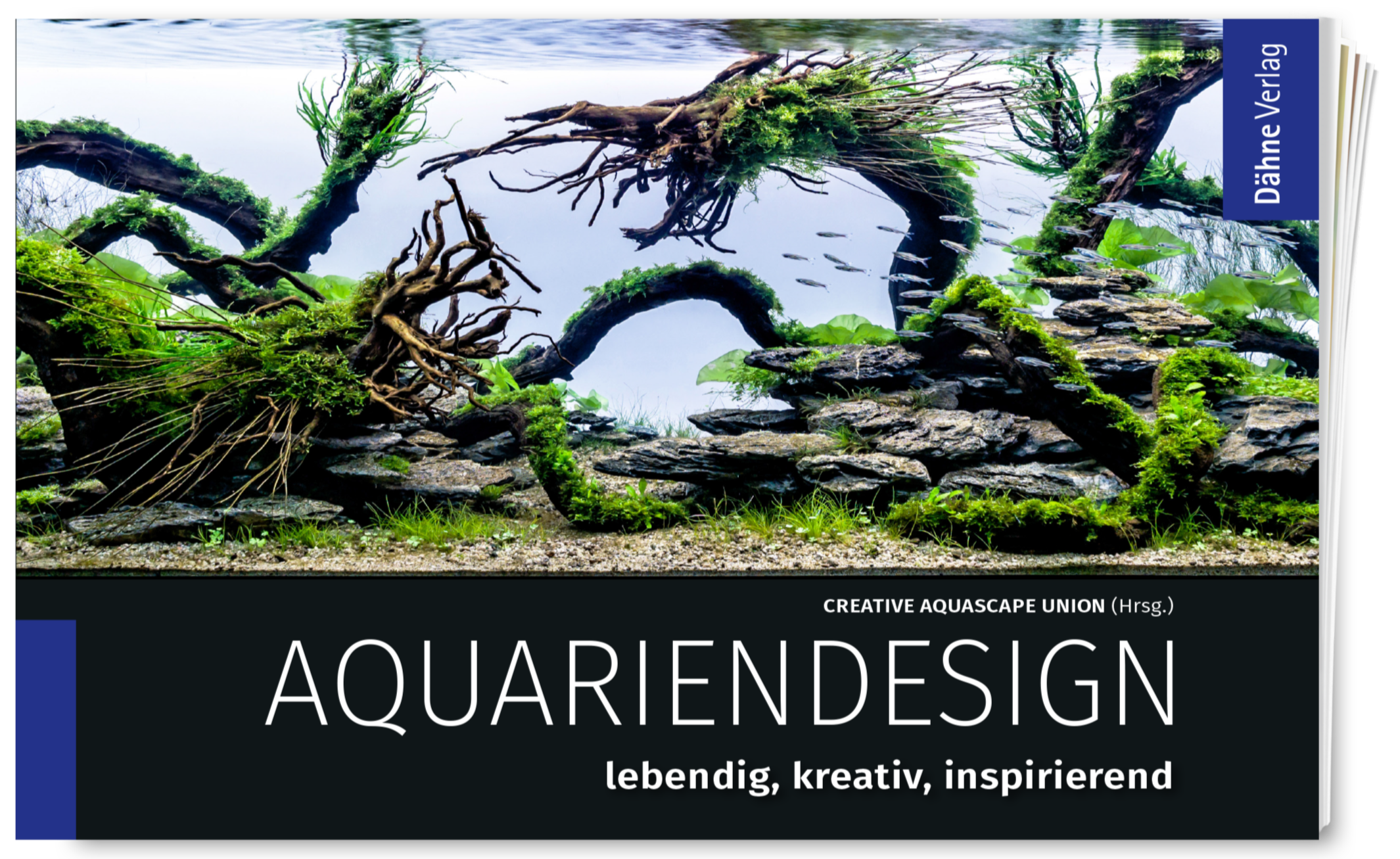 Aquariendesign