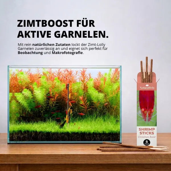 NatureHolic Shrimp Stick „Cinnamon Boost“: Der unwiderstehliche Zimt-Lolly für deine Garnelen! 🎄🍤 AquaTimo
