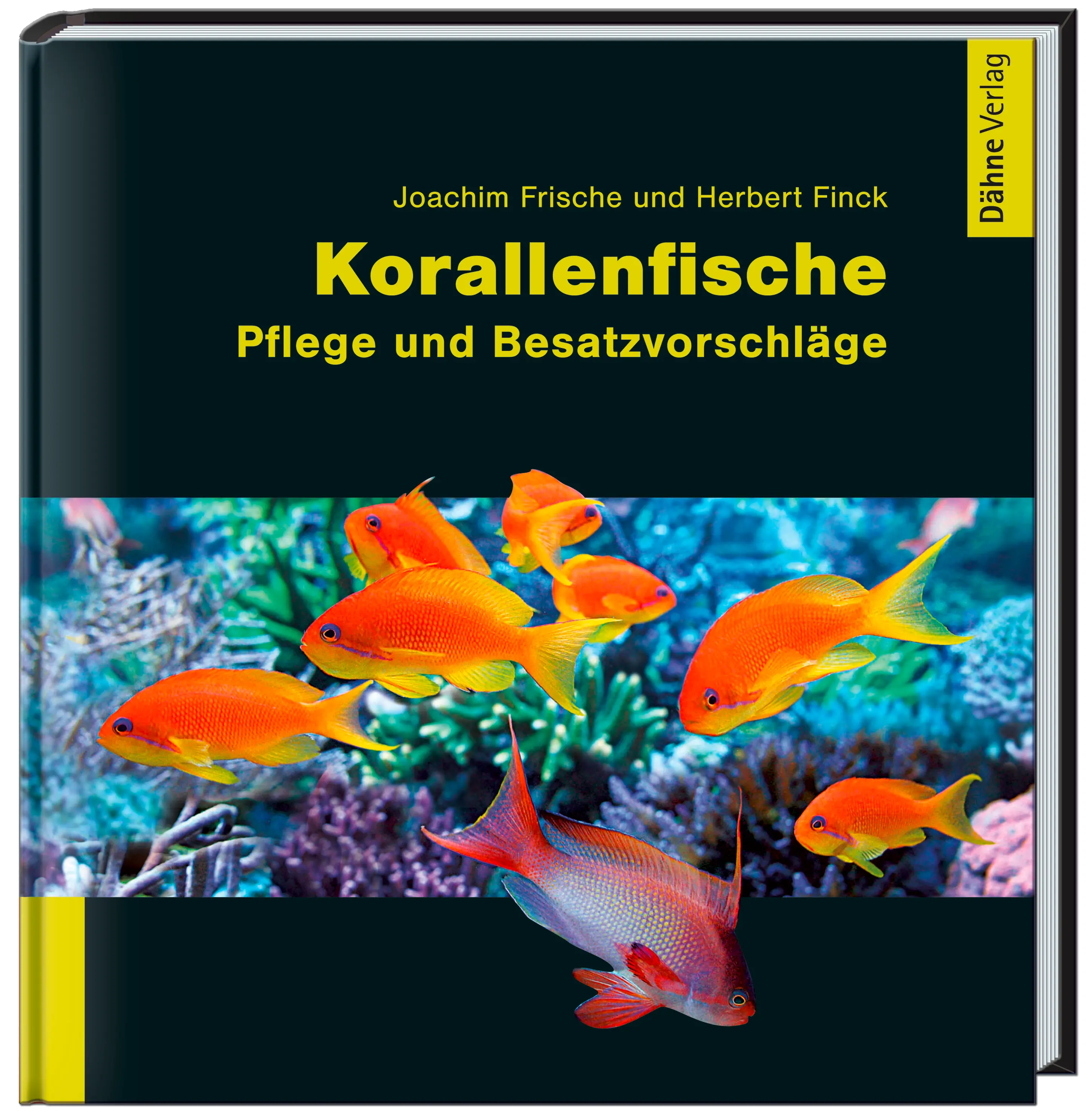 Korallenfische Dähne Aquaristik
