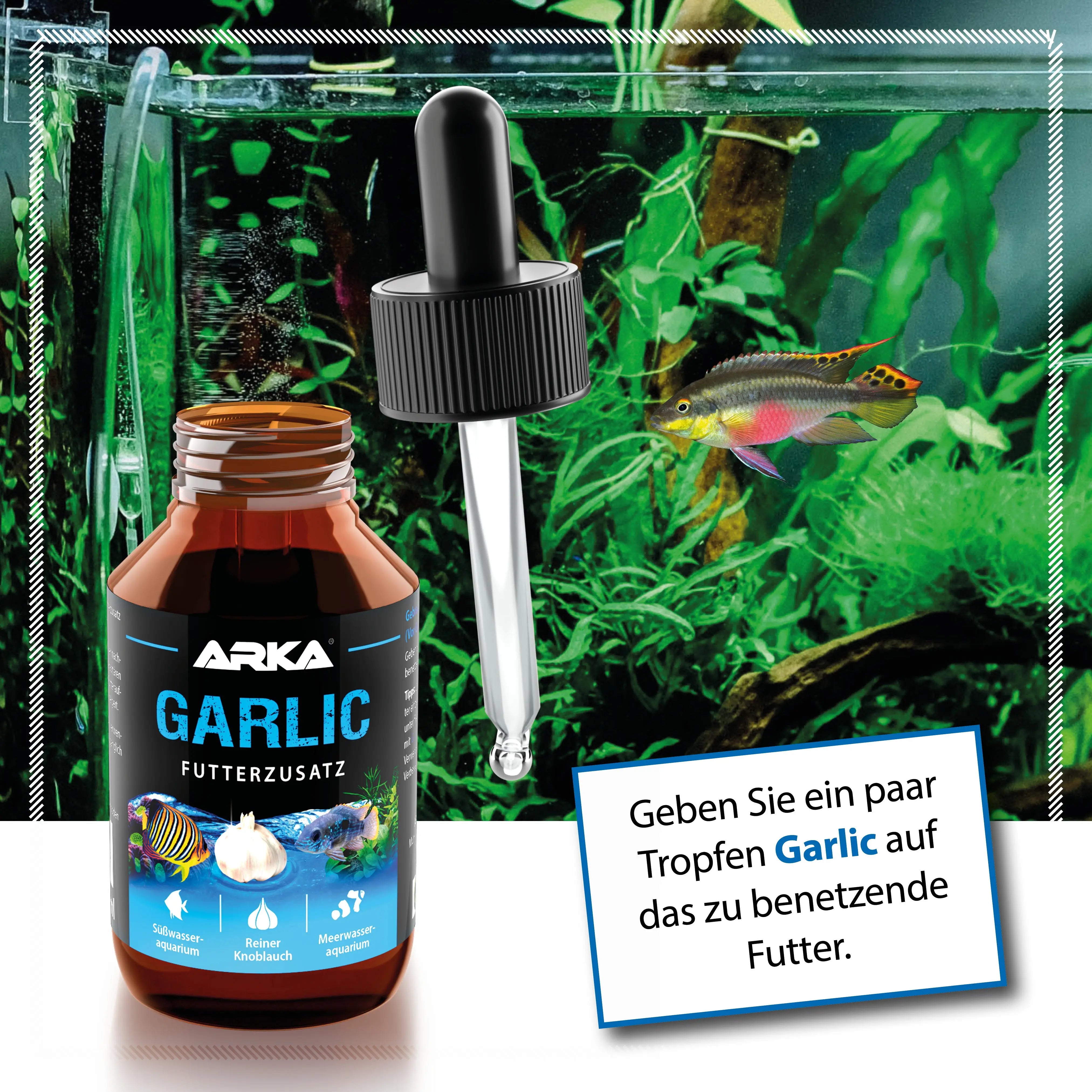 ARKA Garlic: Der hochkonzentrierte Futterzusatz für vitale Süßwasserfische! 🐠 - AS+ AquaTimo