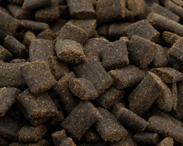 NatureHolic Insect Bites: Die Ressourcen schonende Premium-Eiweißquelle für Wirbellose 🦗🦞 AquaTimo