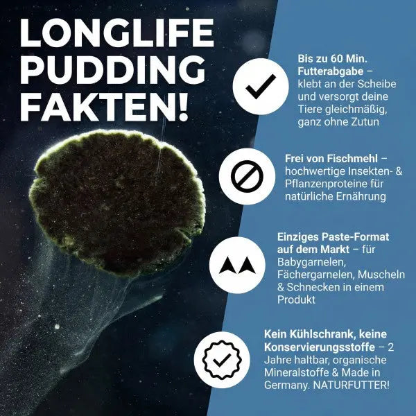 Longlife Pudding: Die stetige Futterquelle für dein Aquarium 🐌🍤 AquaTimo