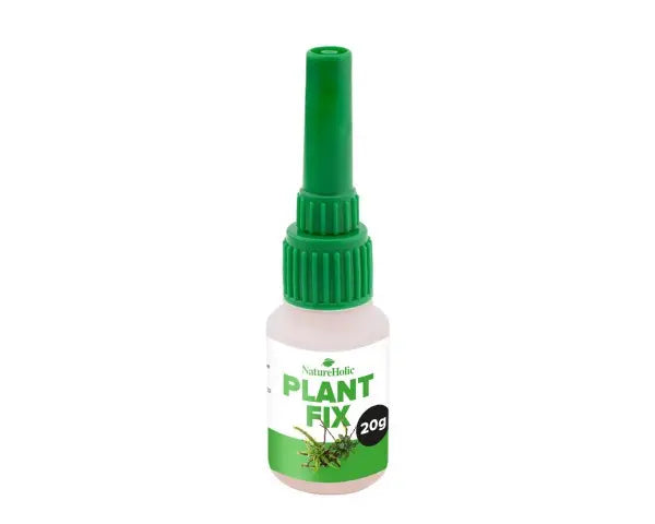NatureHolic Pflanzenkleber: Die unsichtbare Lösung für dein Aquascaping – Moose und Aufsitzerpflanzen einfach kleben! 💧🌿 AquaTimo