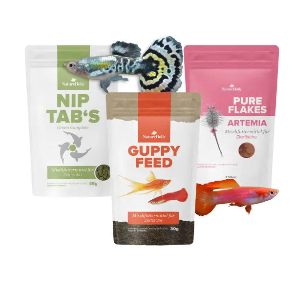 Das NatureHolic Guppy Nährstoffbundle: Deine 3-teilige Power-Kur für Guppys & lebendgebärende Zierfische 🐠 AquaTimo
