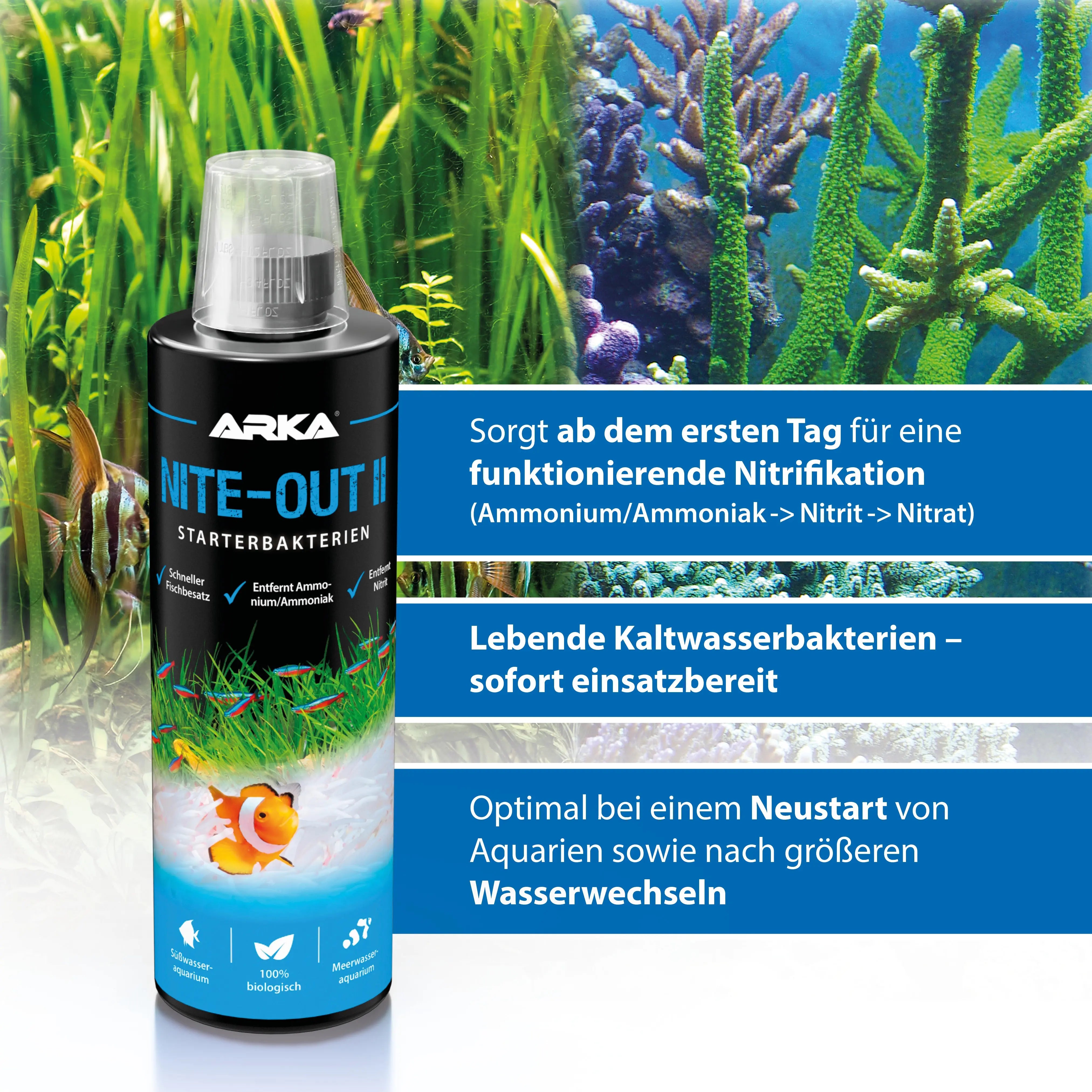 ARKA Nite-Out II: Die unverzichtbare Turbo-Starter-Formel für Ihr Süßwasseraquarium!🚀 - AS+ AquaTimo