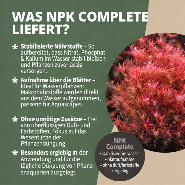 NatureHolic NPK Complete Aquascaping Dünger