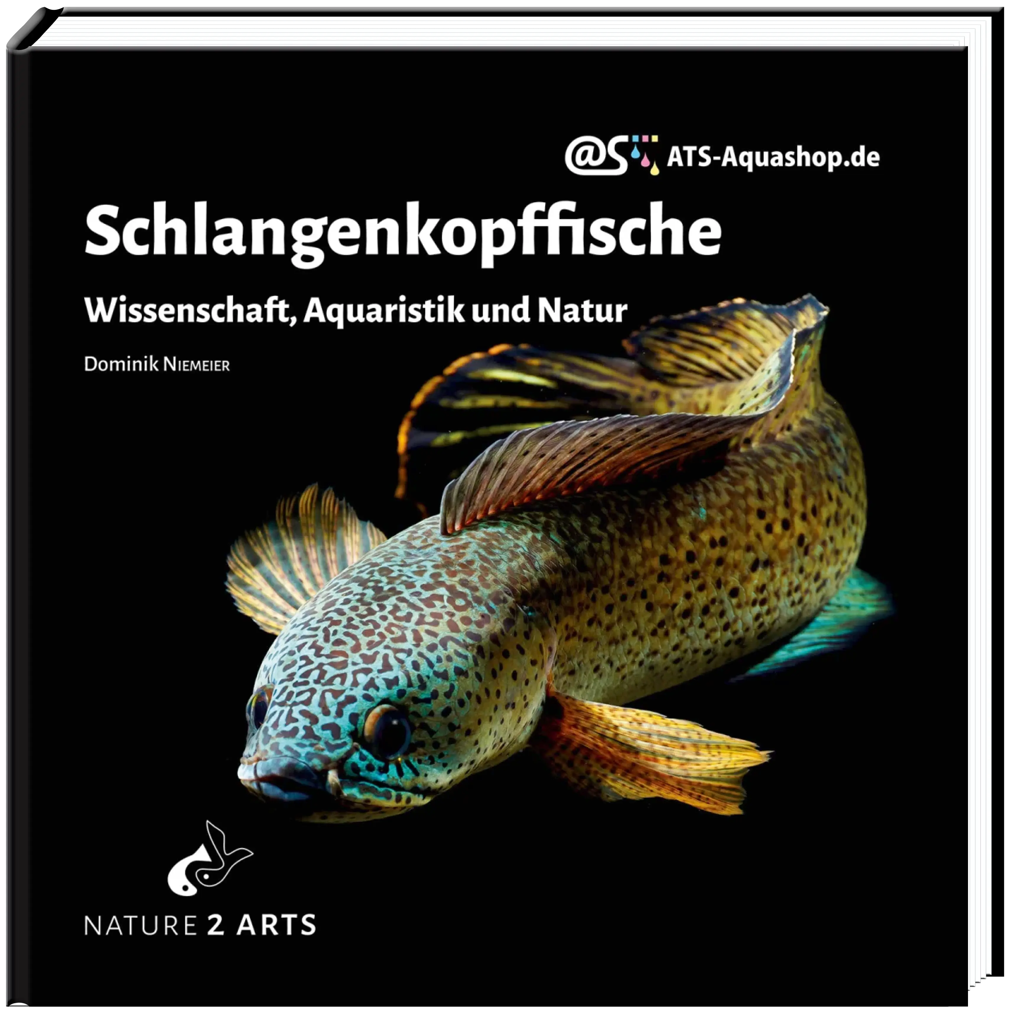 Schlangenkopffische Buch Dähne Aquaristik