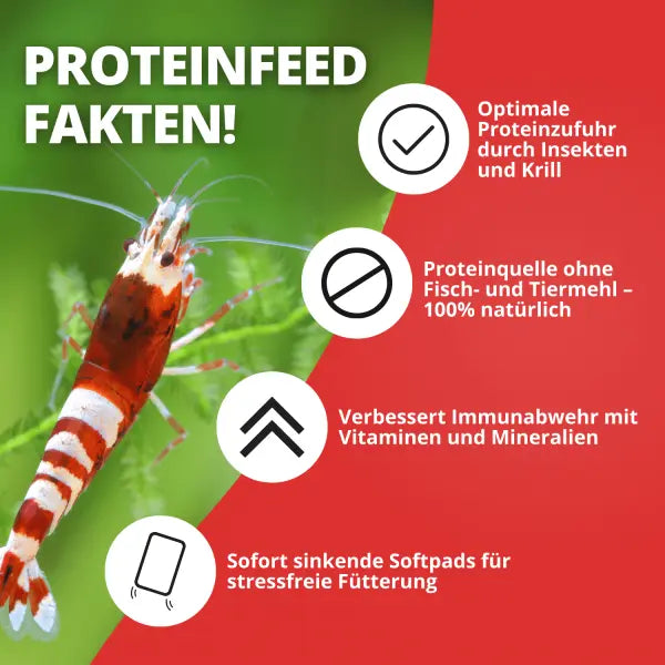 NatureHolic Proteinfeed: Die Spezial-Proteinnahrung für Wachstum, Zucht und starke Panzer! 💪🦐 AquaTimo