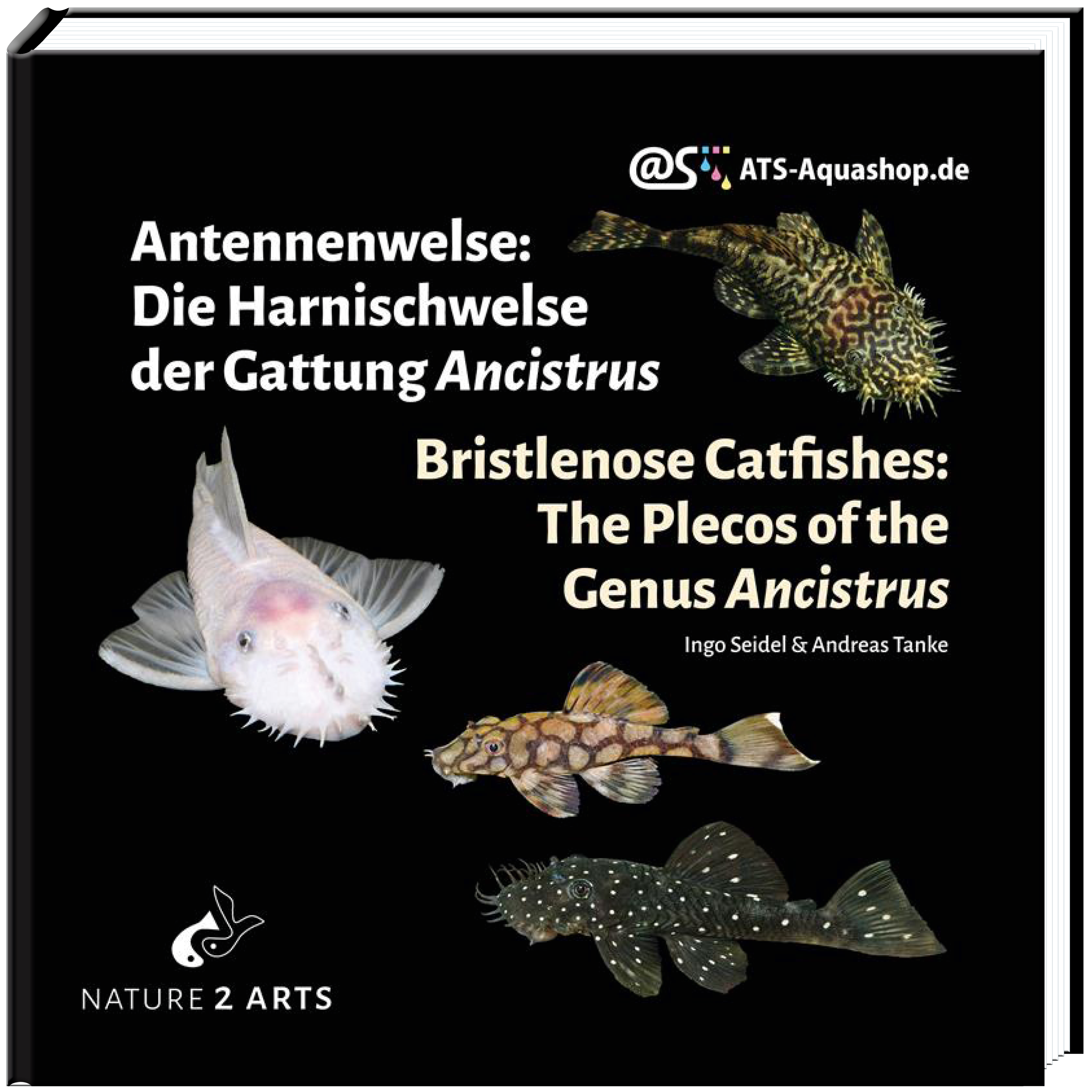 Antennenwelse: Die Harnischwelse der Gattung Ancistrus - Ancistrus Buch