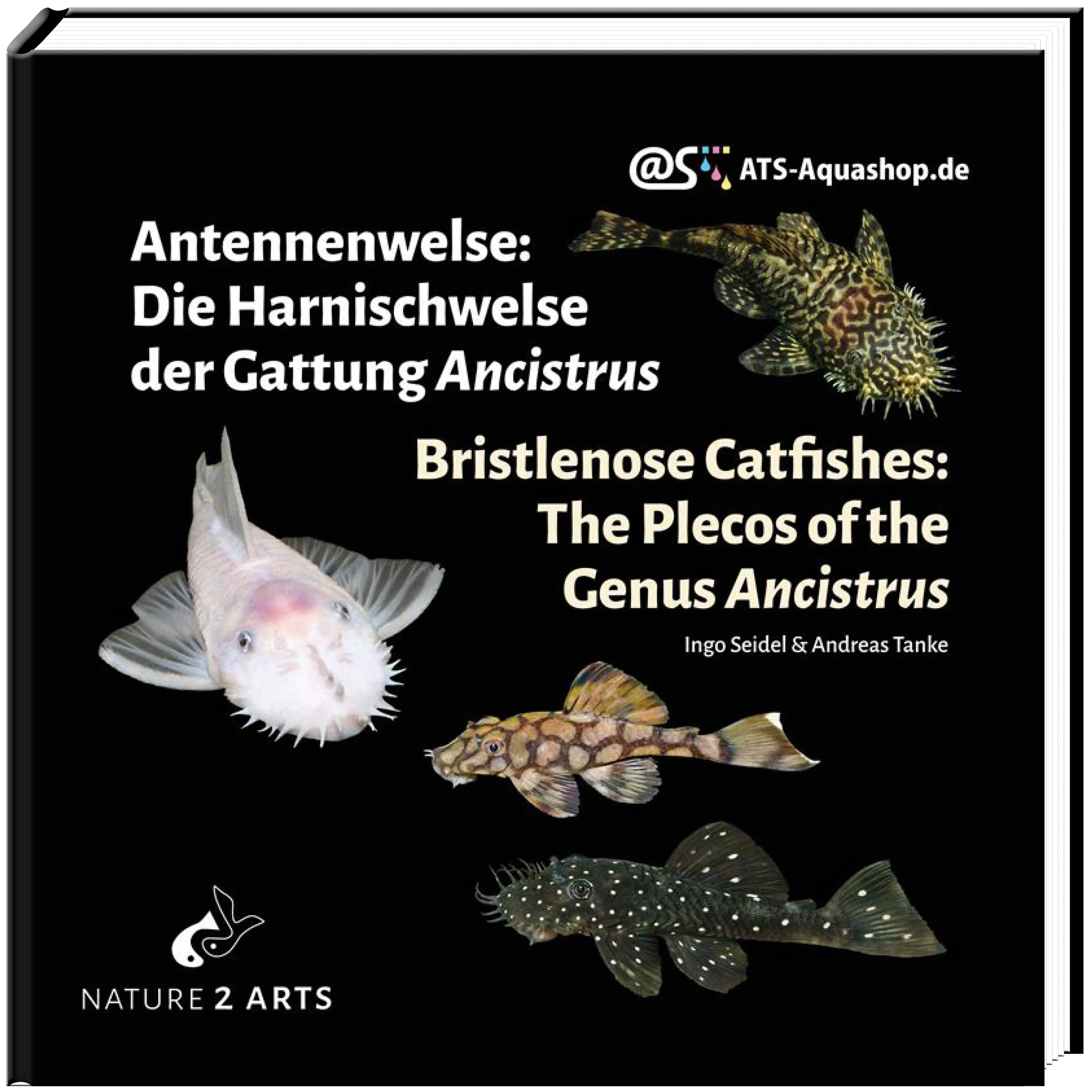 Antennenwelse: Die Harnischwelse der Gattung Ancistrus - Ancistrus Buch Dähne Aquaristik