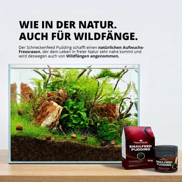 NatureHolic Snailfeed Pudding: Die leckere Futterpaste für gesunde Gehäuse & vitale Aufwuchs fressende Schnecken! 🐌💚 AquaTimo
