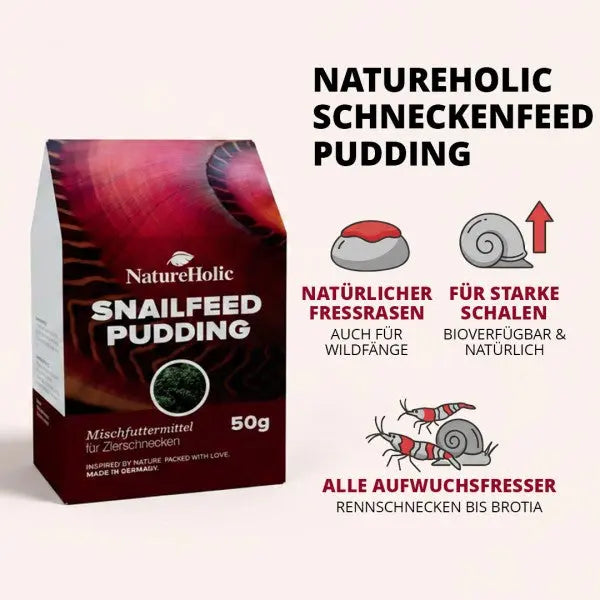 NatureHolic Snailfeed Pudding: Die leckere Futterpaste für gesunde Gehäuse & vitale Aufwuchs fressende Schnecken! 🐌💚 AquaTimo