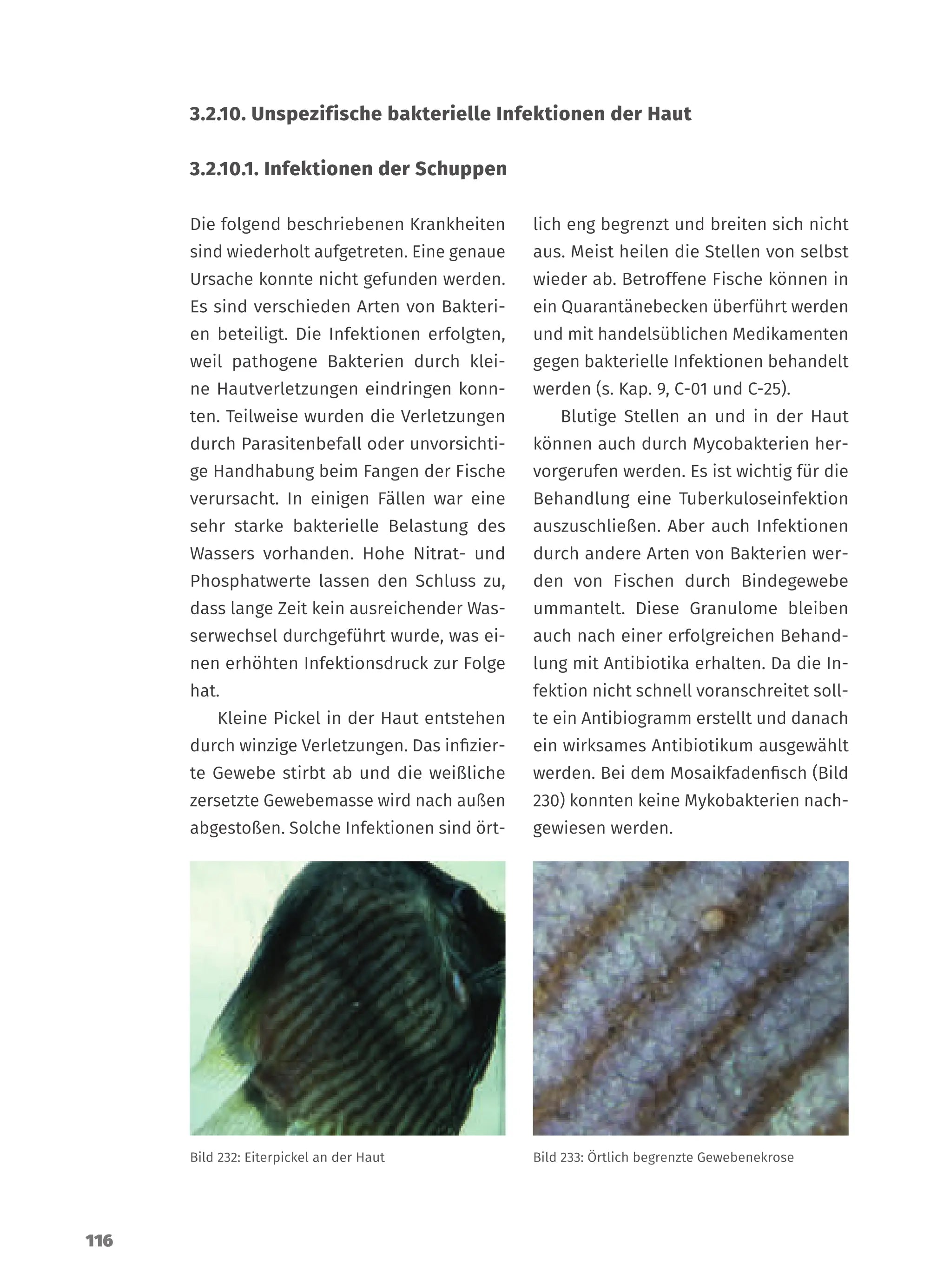 Krankheiten der Zierfische - Buch Dähne Aquaristik