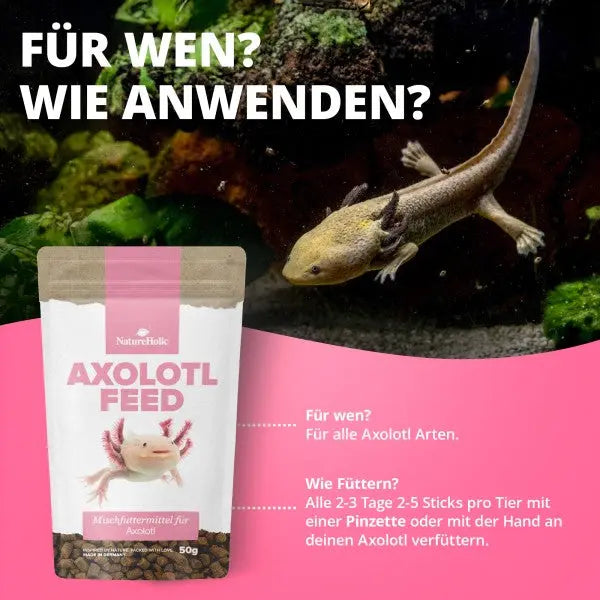NatureHolic AxolotlFeed: Das Softfutter mit LT71 Power für dein Axolotl Aquarium! AquaTimo