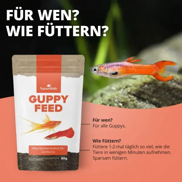 NatureHolic Guppyfeed: Dein Softgranulat (0,5 mm) Hauptfutter für brillante Guppys & kristallklares Wasser! 🐠 AquaTimo