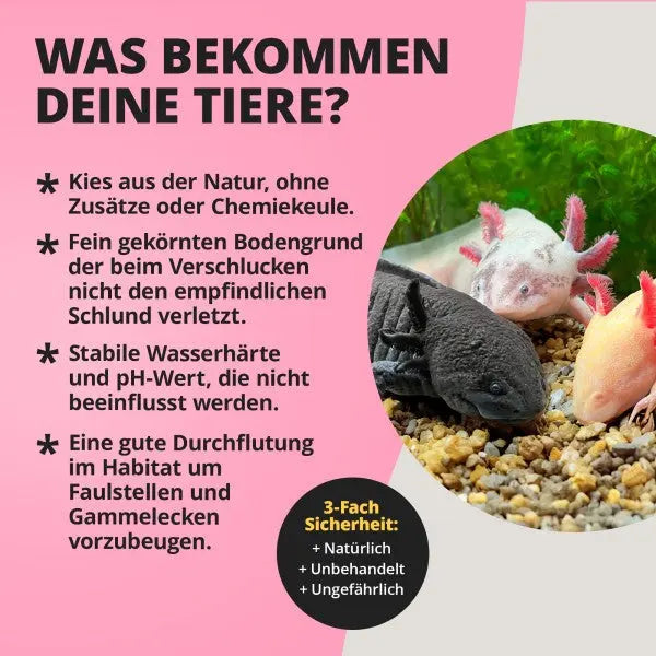 NatureHolic Axolotl Ground: Dein abgerundeter Naturkies für ein sicheres und sauberes Axolotl Aquarium! 💚 AquaTimo