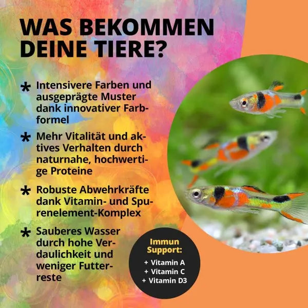 NatureHolic Nano Color Feed: Farbenpracht und Vitalität für Nano Fische AquaTimo