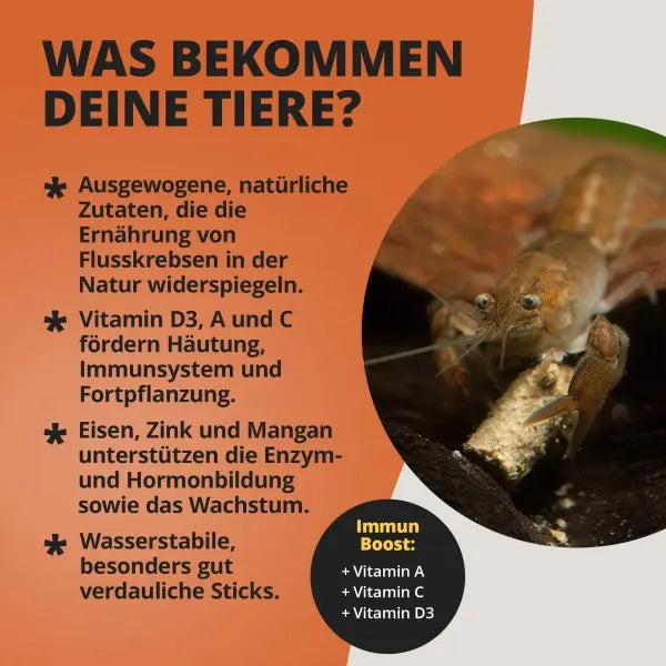 NatureHolic Cambarellusfeed: Dein Premium-Softstick Futter für vitale Zwergkrebse und leuchtende CPOs! 🦐🧡 AquaTimo