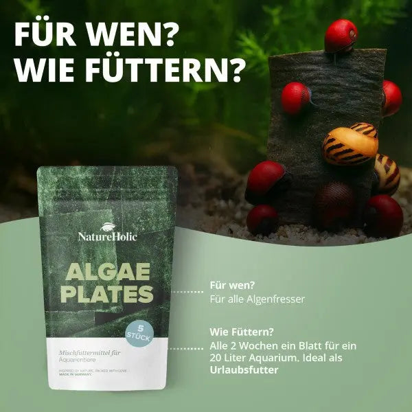 NatureHolic AlgaePlate Algentafel: Der natürliche Rohkost-Snack für deine Garnelen und Schnecken – voller Mineralstoffe und Jod! 🌿 AquaTimo