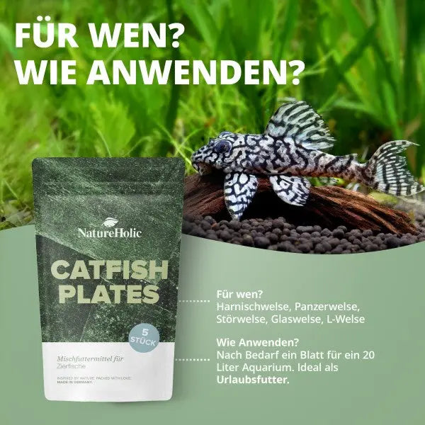 NatureHolic CatfishPlates: 100% Algen-Power für deine Harnischwelse und Aufwuchsfresser 🌿🐟 AquaTimo