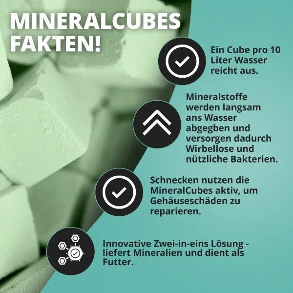 NatureHolic MineralCubes "Spinach Power": Die innovative Two-in-One Lösung für Mineralstoffe & dein stressfreies Ferienfutter! 🌿 AquaTimo