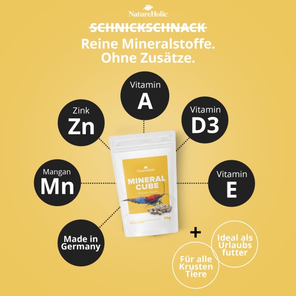 NatureHolic MineralCubes "Vitamine Power": Die smarte Mineralstoff-Versorgung & das perfekte Ferienfutter für Wirbellose! 🤩