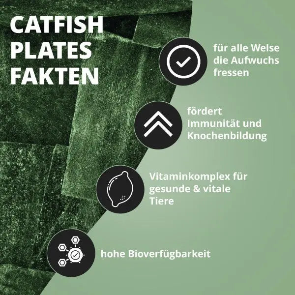 NatureHolic CatfishPlates: 100% Algen-Power für deine Harnischwelse und Aufwuchsfresser 🌿🐟 AquaTimo
