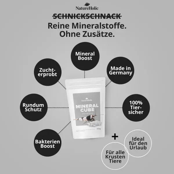 NatureHolic MineralCubes "Pure Mineral": Der ultimative Mineral-Booster für Garnelen, Schnecken und Krebse 💎 AquaTimo