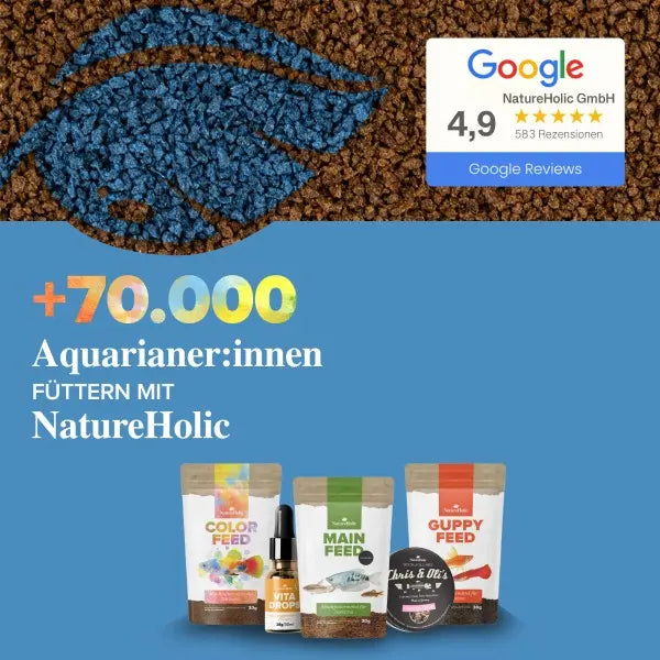 NatureHolic Snailfeed Sticks: Die Revolution für deine Aufwuchs fressenden Aquarienschnecken! 🐌💚 AquaTimo