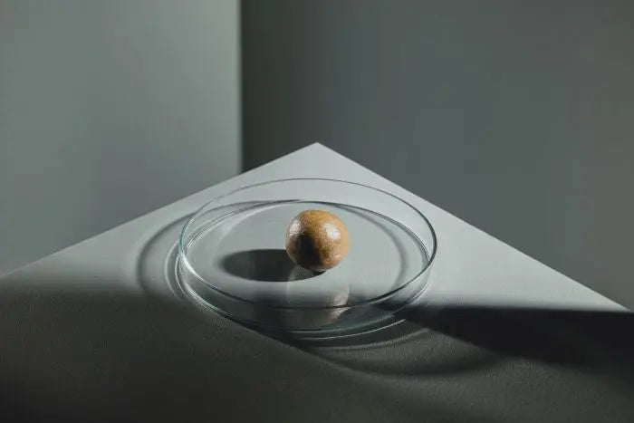 StreamBiz Artemia Paste – Hochwertiges Fischfutter für kräftige Farben & gesundes Wachstum - AS+ AquaTimo