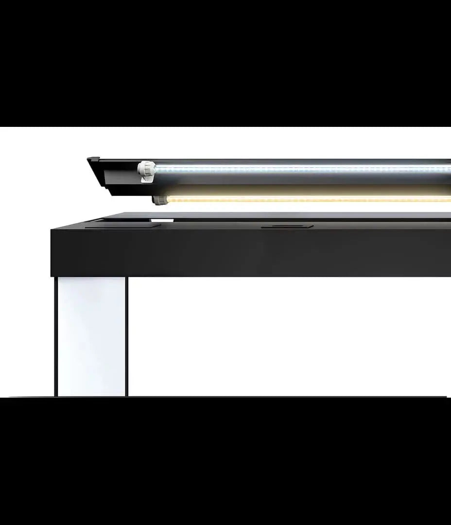 Juwel Rio 450 LED Aquarium – Das Flaggschiff für Ihre größten Unterwasser-Visionen 👑🐠 - AS+ AquaTimo