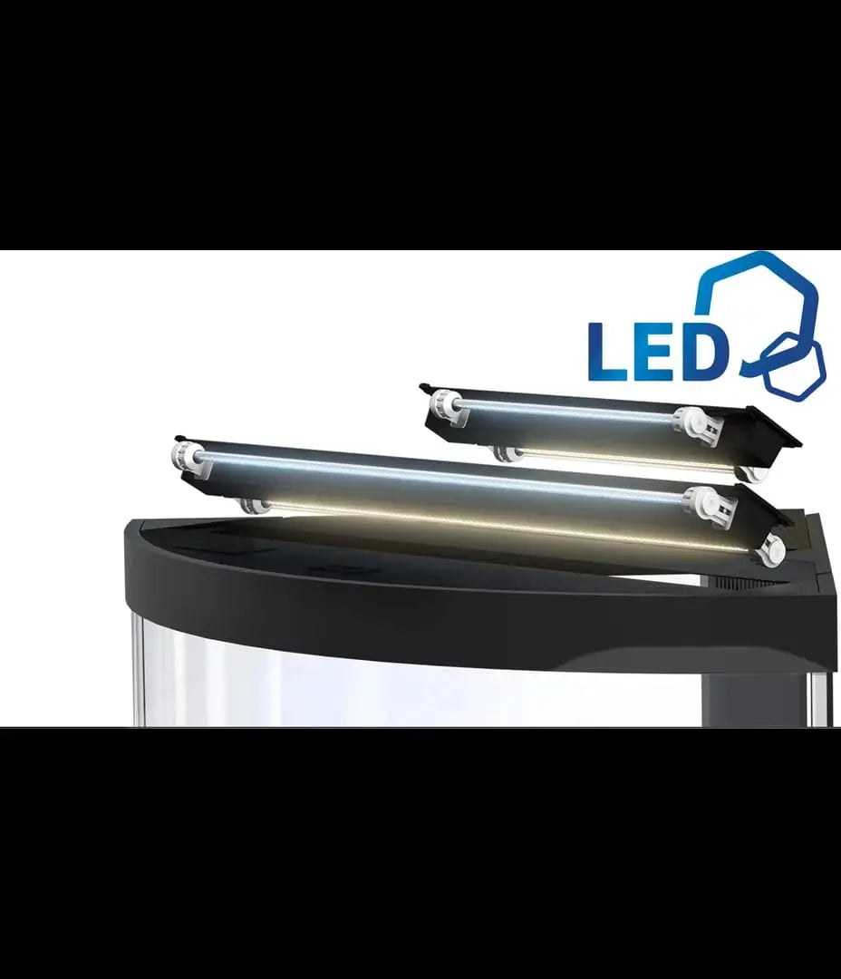 Juwel Trigon 350 LED Aquarium – Das Premium Eckaquarium für maximale Tiefenwirkung 💎 - AS+ AquaTimo