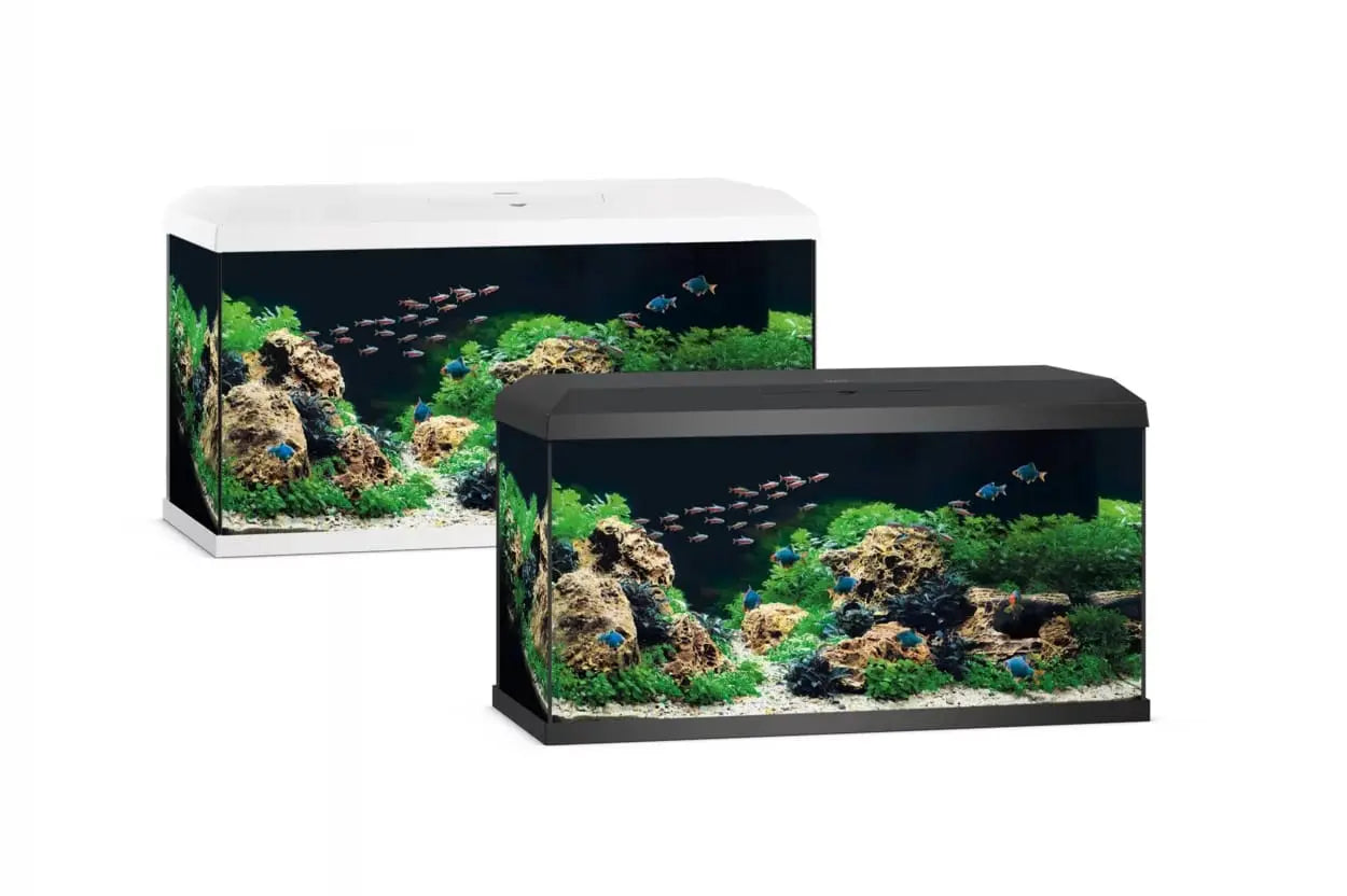 🐠 JUWEL Primo 70 LED 2.0 – Dein perfekter Einstieg in die Aquaristik! 🌿💧 - AS+ AquaTimo