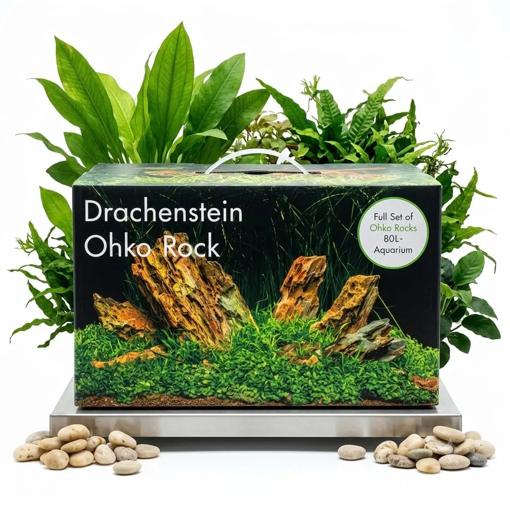 Drachenstein Aquascape Set (für 60 & 80 L Aquarium) - AS+ AquaTimo